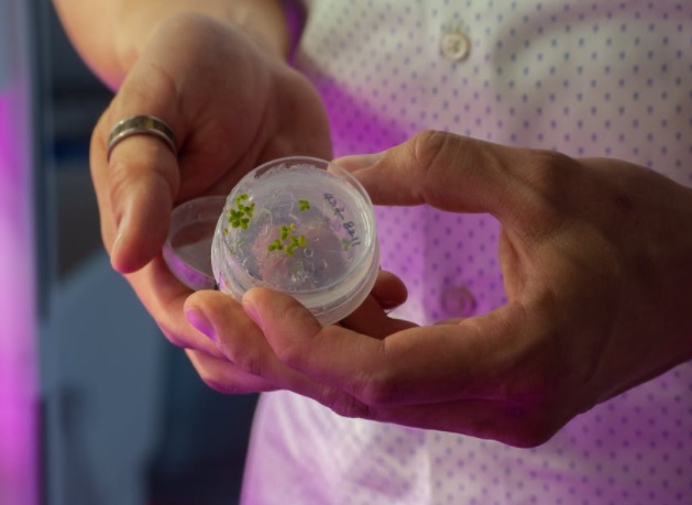 How an ASU program helped a student business working to turn poop water into plants